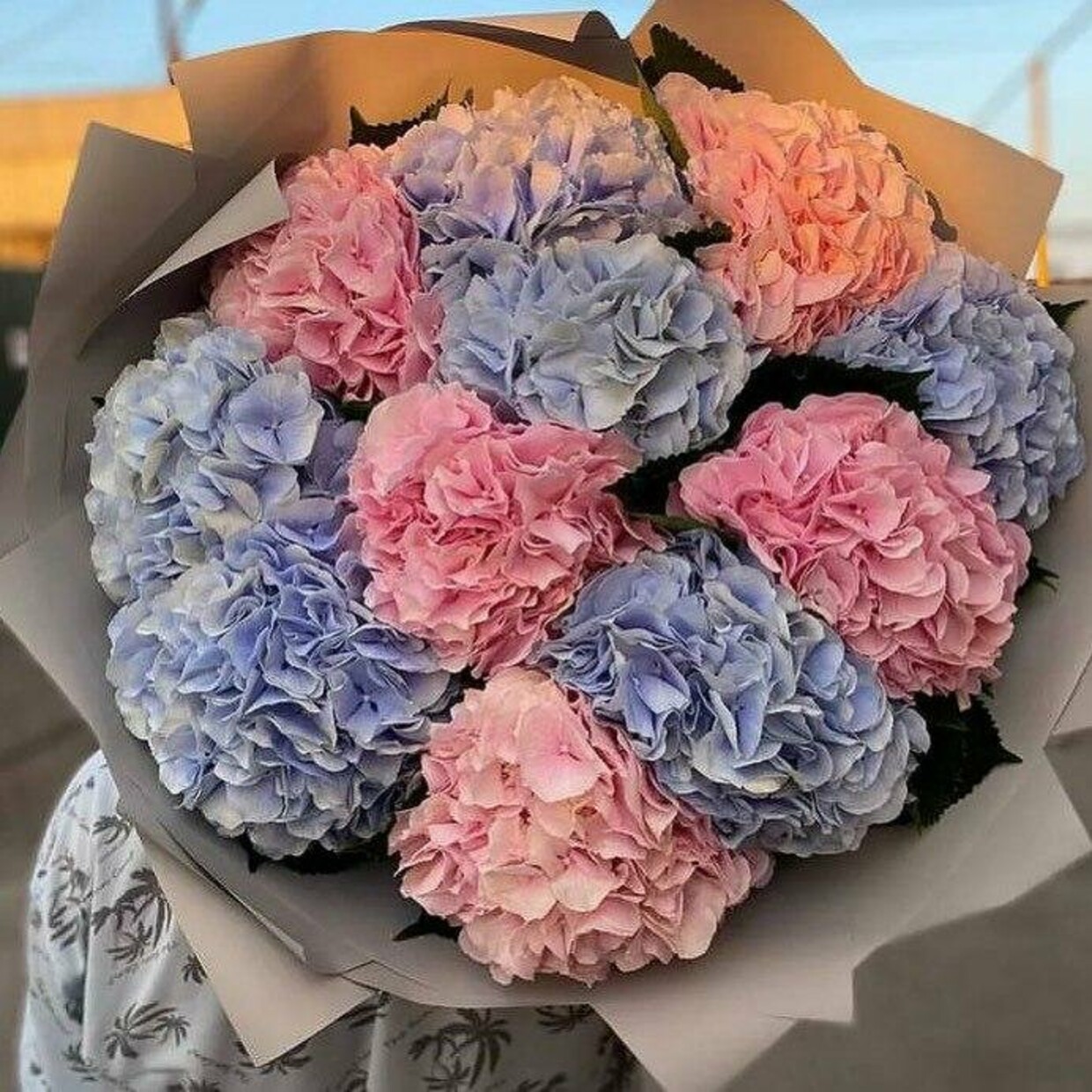 11 Гортензий Микс