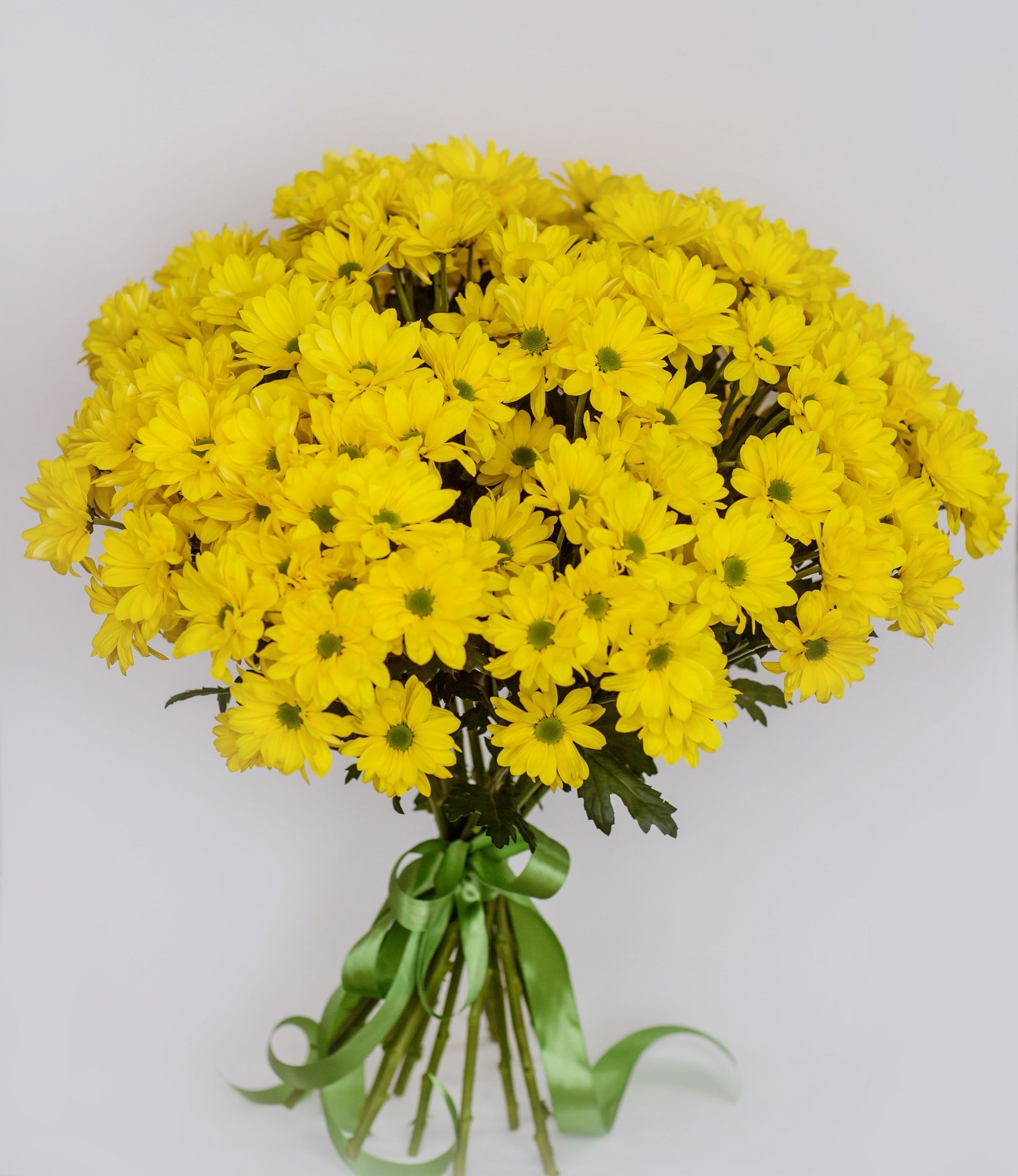 15 Жёлтых Кустовых Хризантем Ромашка