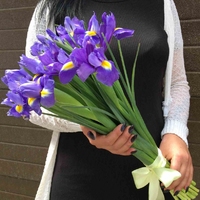 15 Сине-Голубых Ирисов