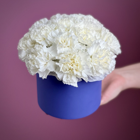 25 Белых Гвоздик в стильной коробке