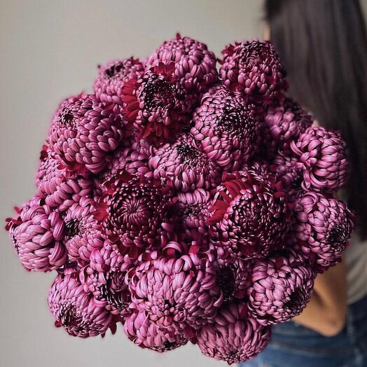 35 Бордовых Хризантем Бигуди