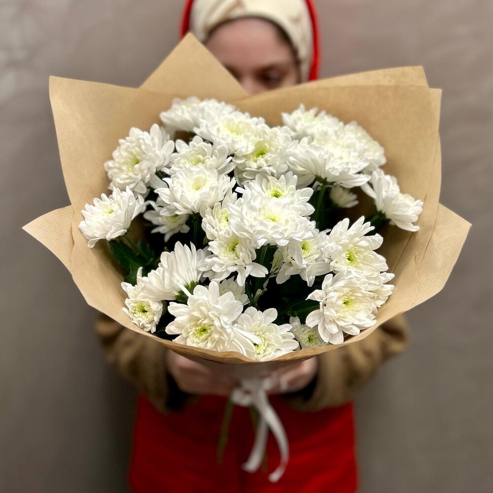 5 Белых Кустовых Хризантем